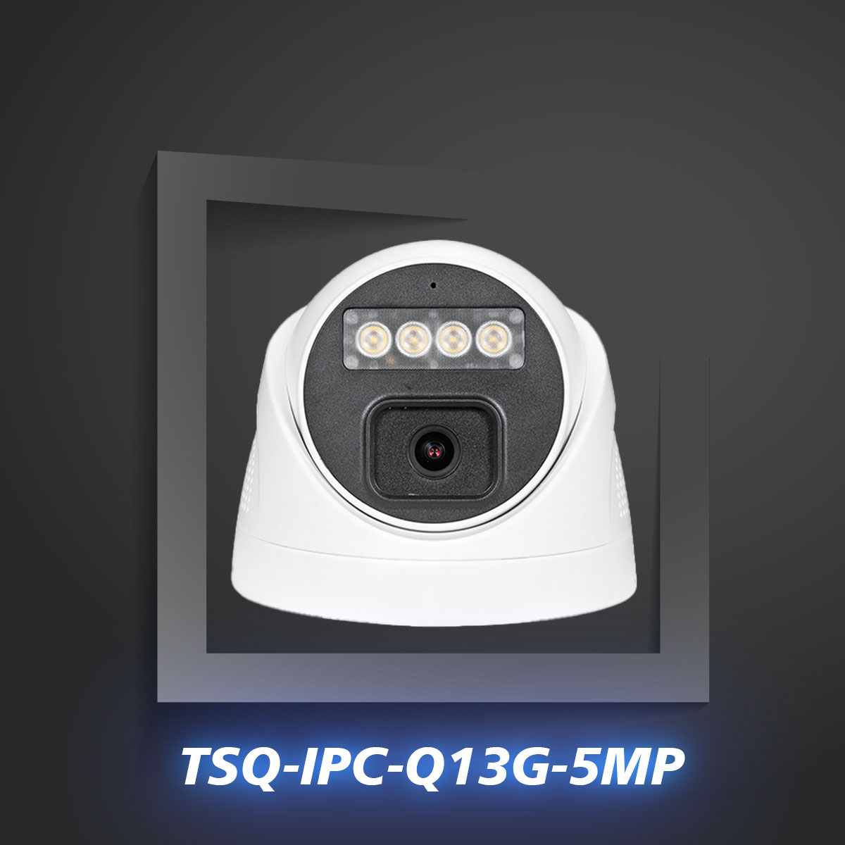 دوربین مداربسته تحت شبکه 5 مگاپیکسلی